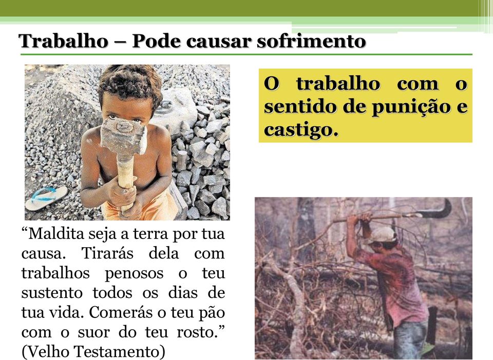 Tirarás dela com trabalhos penosos o teu sustento todos os dias