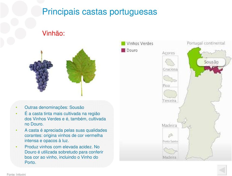 A casta é apreciada pelas suas qualidades corantes: origina vinhos de cor vermelha