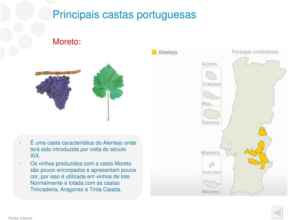 Os vinhos produzidos com a casta Moreto são pouco encorpados e apresentam