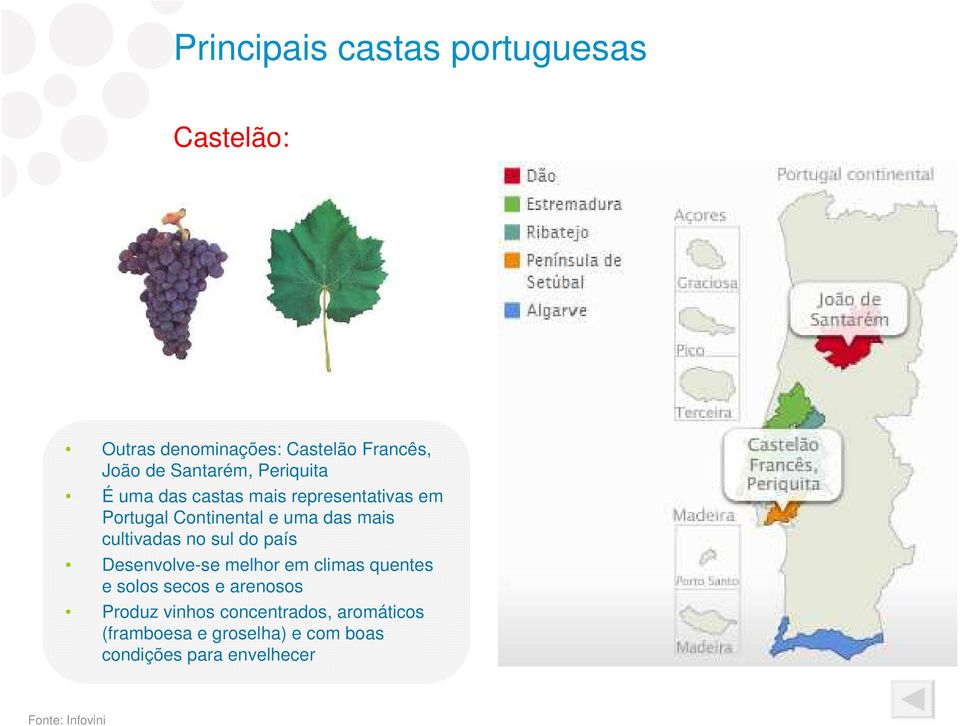 sul do país Desenvolve-se melhor em climas quentes e solos secos e arenosos Produz