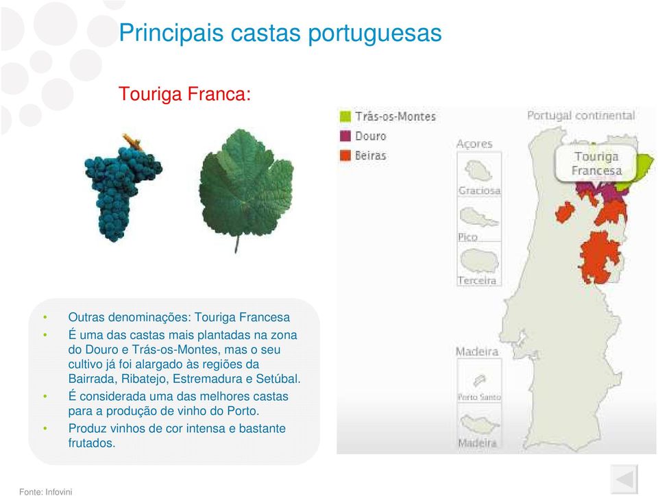 regiões da Bairrada, Ribatejo, Estremadura e Setúbal.