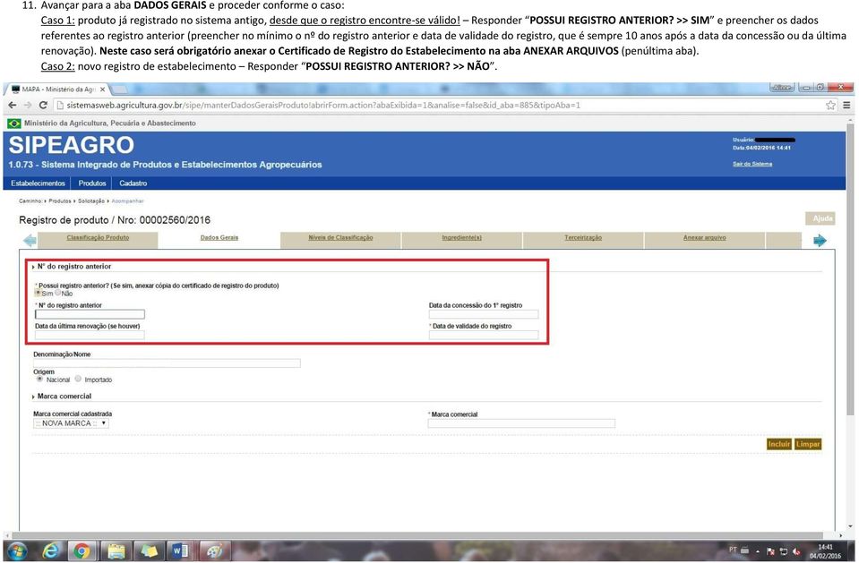 >> SIM e preencher os dados referentes ao registro anterior (preencher no mínimo o nº do registro anterior e data de validade do registro, que é