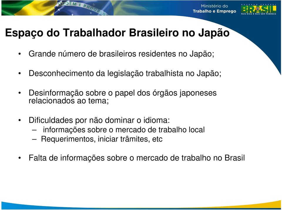 japoneses relacionados ao tema; Dificuldades por não dominar o idioma: informações sobre o mercado