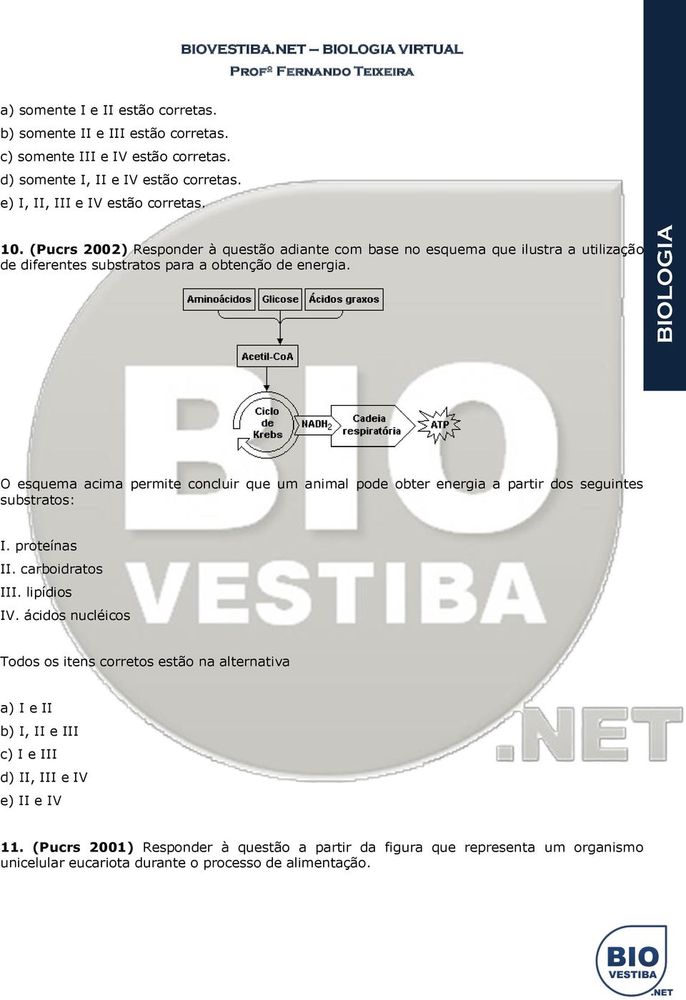 O esquema acima permite concluir que um animal pode obter energia a partir dos seguintes substratos: I. proteínas II. carboidratos III. lipídios IV.