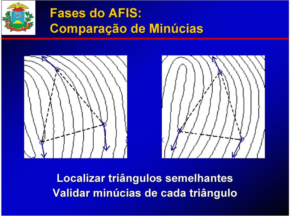 triângulos semelhantes