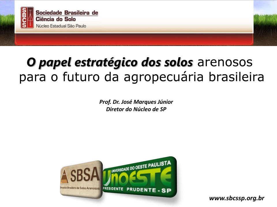 agropecuária brasileira Prof. Dr.