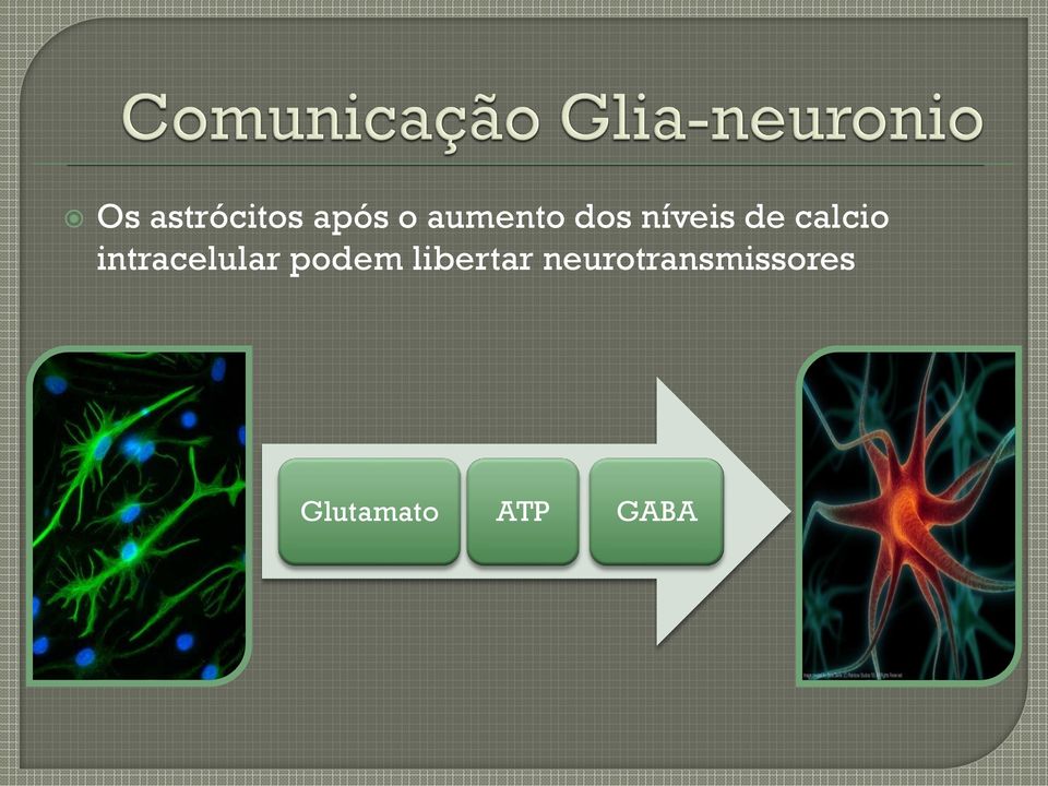 intracelular podem libertar