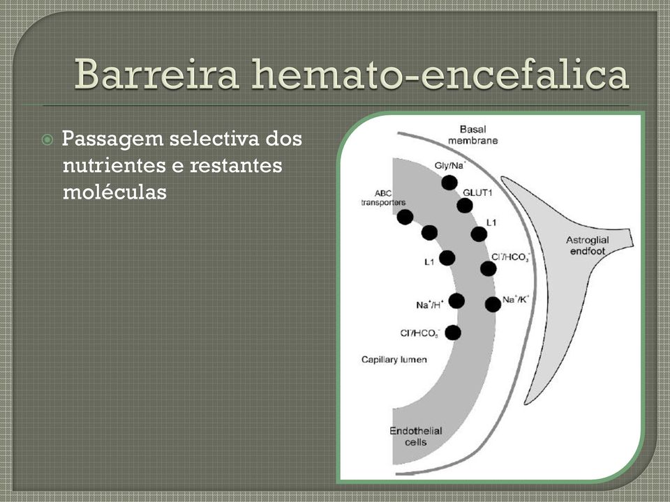 nutrientes e