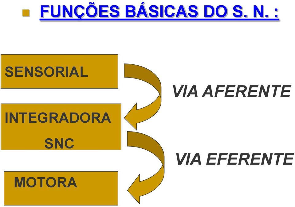 INTEGRADORA SNC