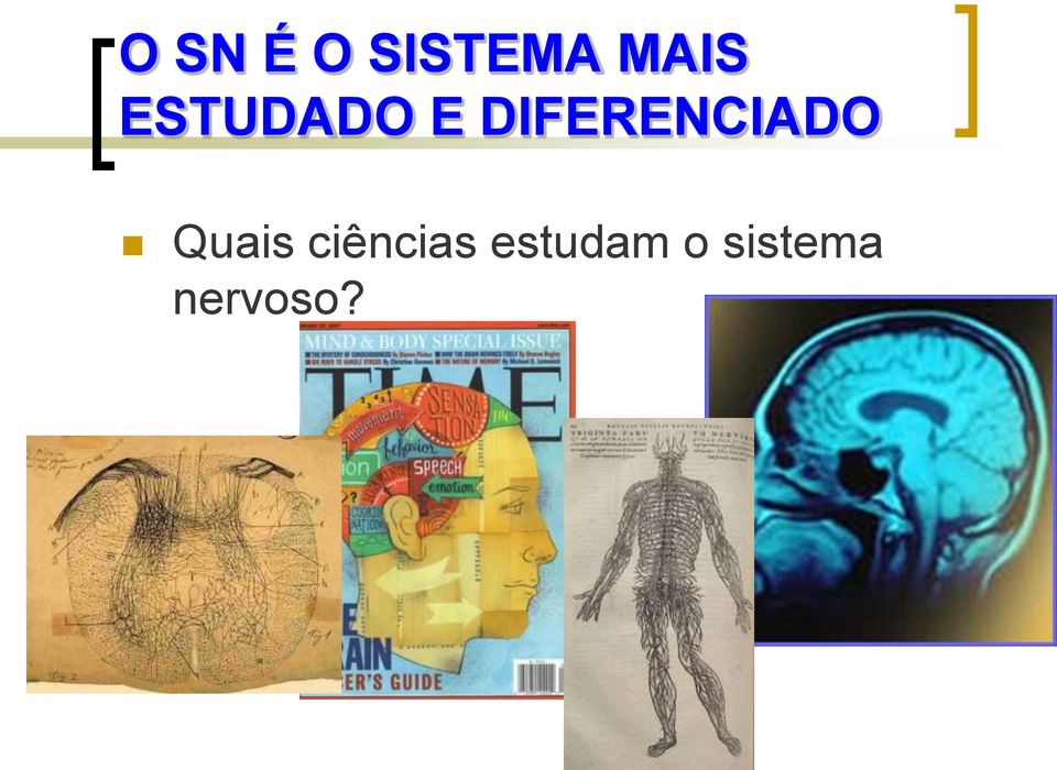 DIFERENCIADO Quais