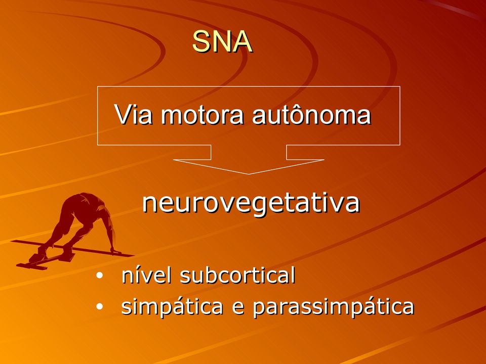 neurovegetativa