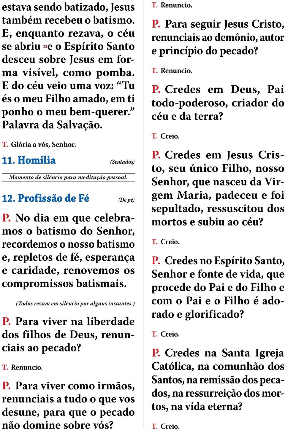 Profissão de Fé (De pé) P. No dia em que celebramos o batismo do Senhor, recordemos o nosso batismo e, repletos de fé, esperança e caridade, renovemos os compromissos batismais.