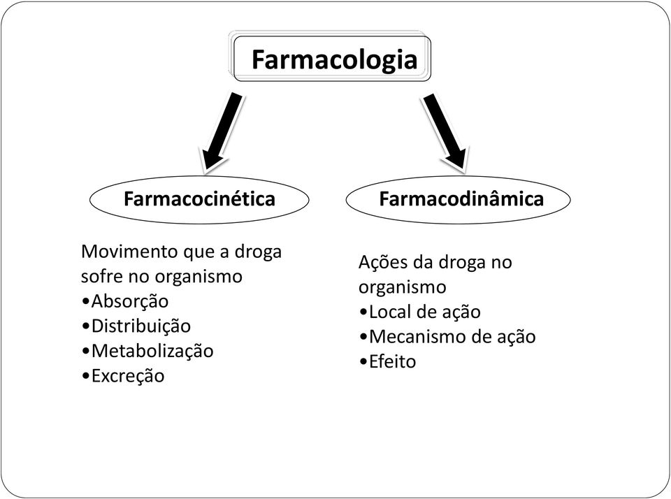 Metabolização Excreção Farmacodinâmica Ações da