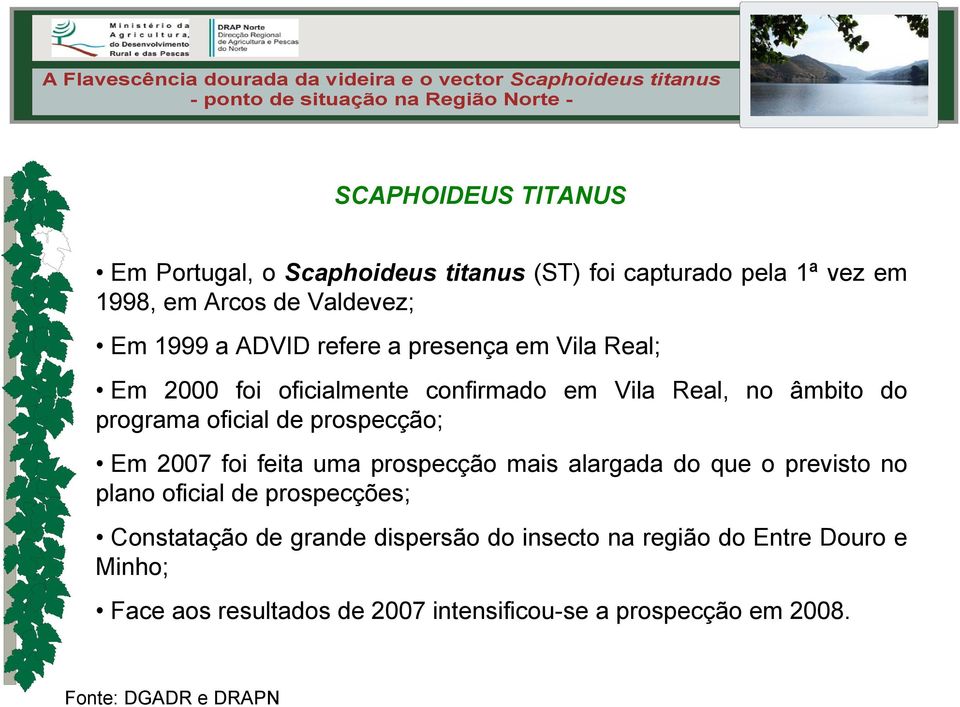 prospecção; Em 2007 foi feita uma prospecção mais alargada que o previsto no plano oficial prospecções; Constatação gran