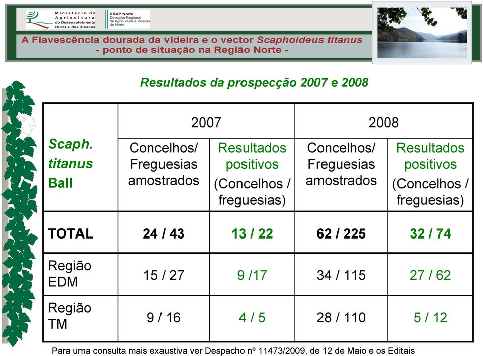 Freguesias amostras Resultas positivos (Concelhos / freguesias) TOTAL 24 / 43 13 / 22 62 / 225 32 / 74