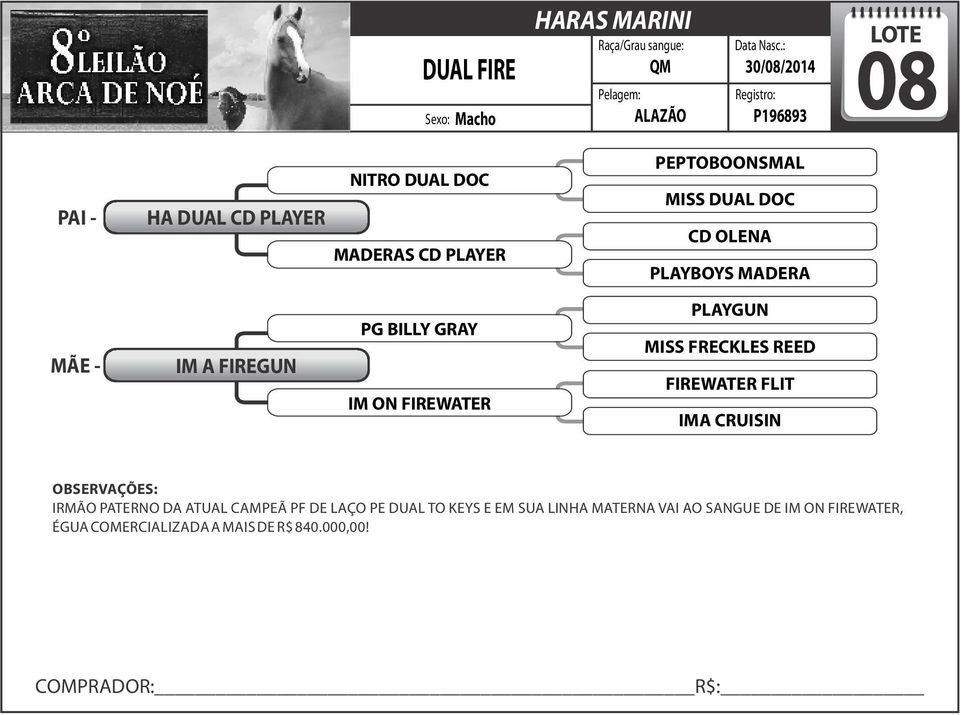 PLAYGUN MISS FRECKLES REED FIREWATER FLIT IMA CRUISIN IRMÃO PATERNO DA ATUAL CAMPEÃ PF DE LAÇO PE DUAL