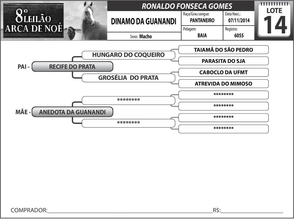 MIMOSO ANEDOTA DA GUANANDI SEU PAI FIRST DOWN MORN (IMPORTADO) GANHADOR DE $ 30.