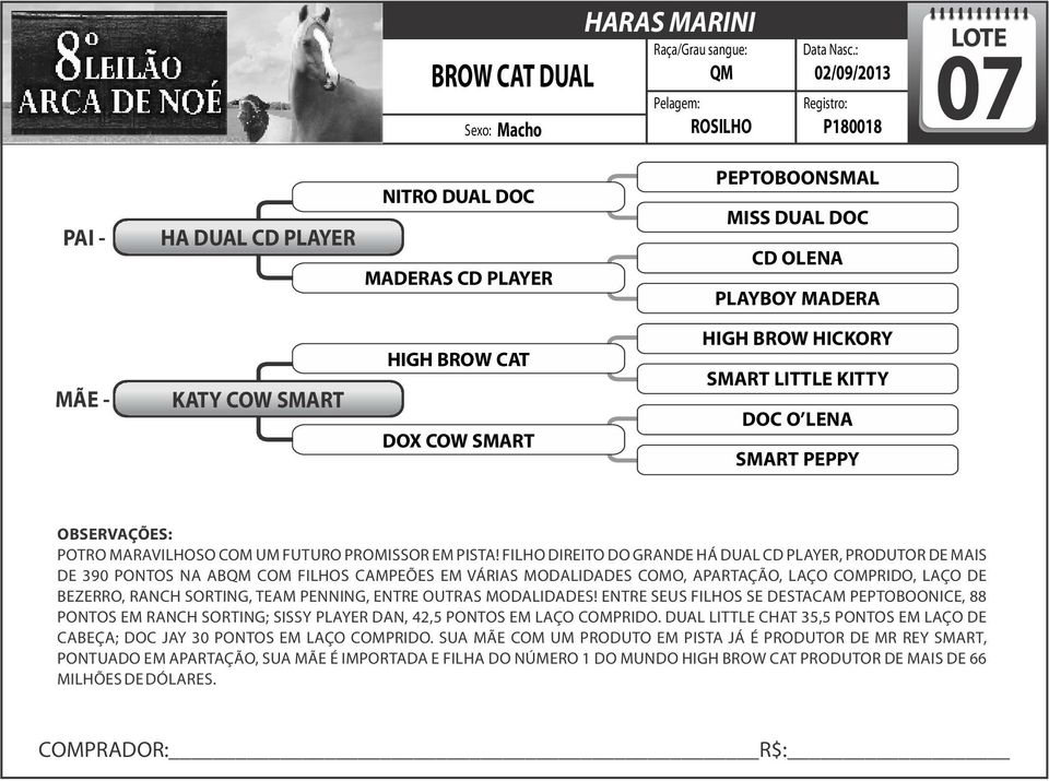 FILHO DIREITO DO GRANDE HÁ DUAL CD PLAYER, PRODUTOR DE MAIS DE 390 PONTOS NA ABQM COM FILHOS CAMPEÕES EM VÁRIAS MODALIDADES COMO, APARTAÇÃO, LAÇO COMPRIDO, LAÇO DE BEZERRO, RANCH SORTING, TEAM