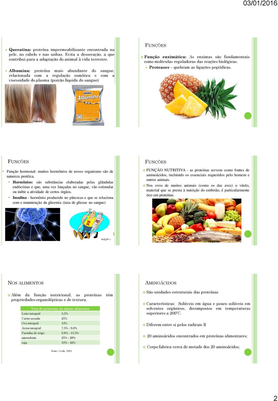 moléculas reguladoras das reações biológicas. Proteases quebram as ligações peptídicas. Função hormonal: muitos hormônios de nosso organismo são de natureza protéica.