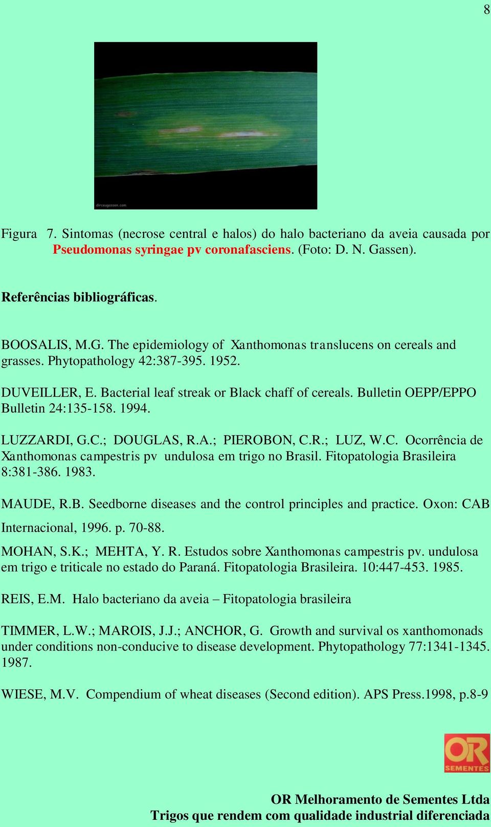 Bacterial leaf streak or Black chaff of cereals. Bulletin OEPP/EPPO Bulletin 24:135-158. 1994. LUZZARDI, G.C.; DOUGLAS, R.A.; PIEROBON, C.R.; LUZ, W.C. Ocorrência de Xanthomonas campestris pv undulosa em trigo no Brasil.