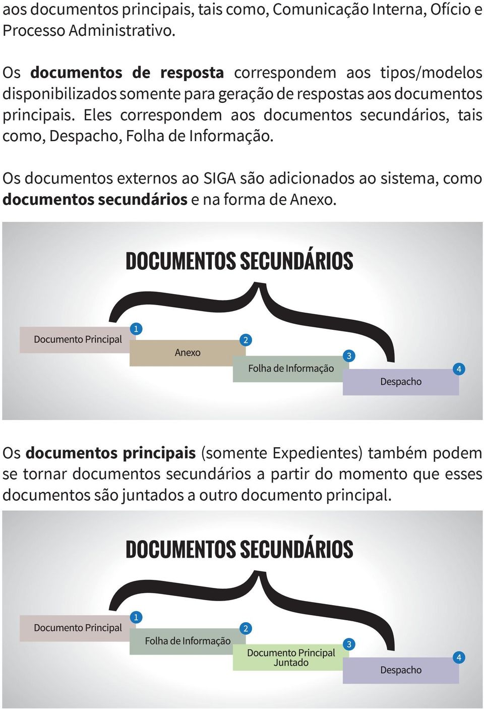 Eles correspondem aos documentos secundários, tais como, Despacho, Folha de Informação.