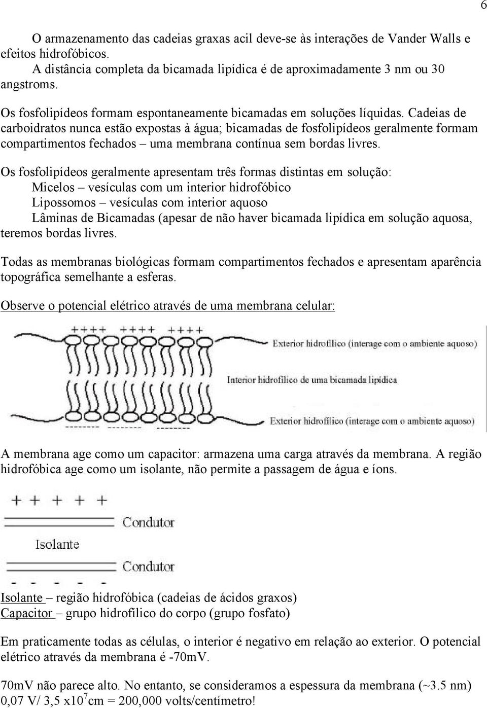 Cadeias de carboidratos nunca estão expostas à água; bicamadas de fosfolipídeos geralmente formam compartimentos fechados uma membrana contínua sem bordas livres.