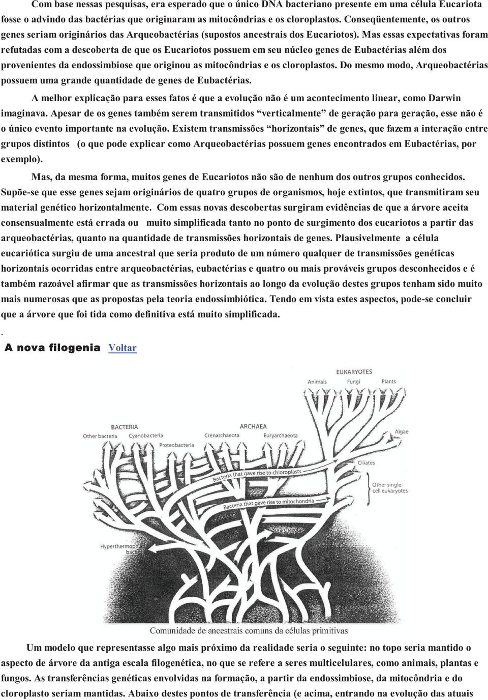 Eubactérias além dos provenientes da endossimbiose que originou as mitocôndrias e os cloroplastos Do mesmo modo, Arqueobactérias possuem uma grande quantidade de genes de Eubactérias A melhor