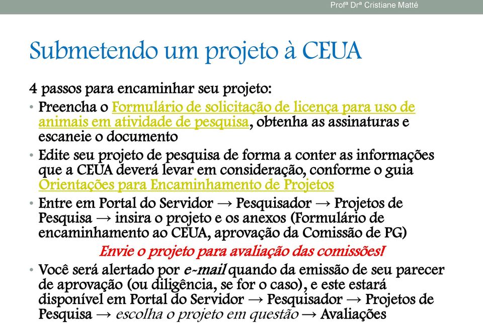 Servidor Pesquisador Projetos de Pesquisa insira o projeto e os anexos (Formulário de encaminhamento ao CEUA, aprovação da Comissão de PG) Envie o projeto para avaliação das comissões!