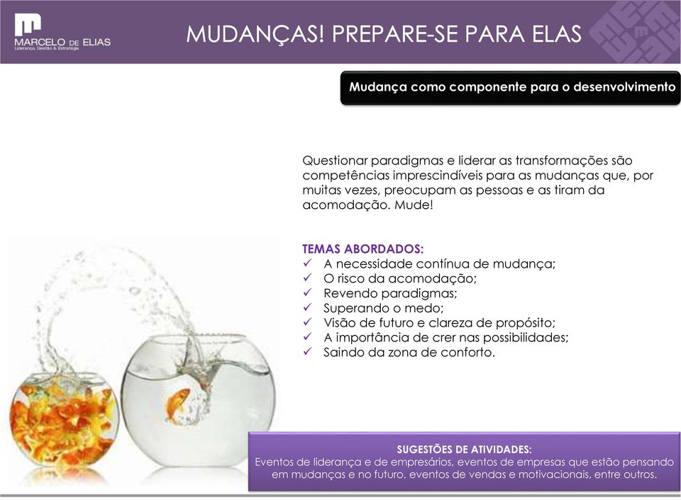 A necessidade contínua de mudança; O risco da acomodação; Revendo paradigmas; Superando o medo; Visão de futuro e clareza de propósito; A