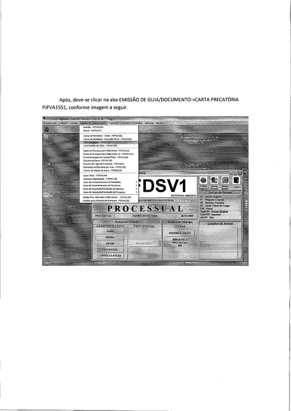 Processo Par-e~ Mala Direta v2- PJFVAI5161 Envio}Devol~eo de Cartas/Ofícios PJFVA122B Etiqueta de Baix-e~ PJFVA1335 Etiqueta de Capa de Processos PJFDII221 Impressão de Etiquetas por