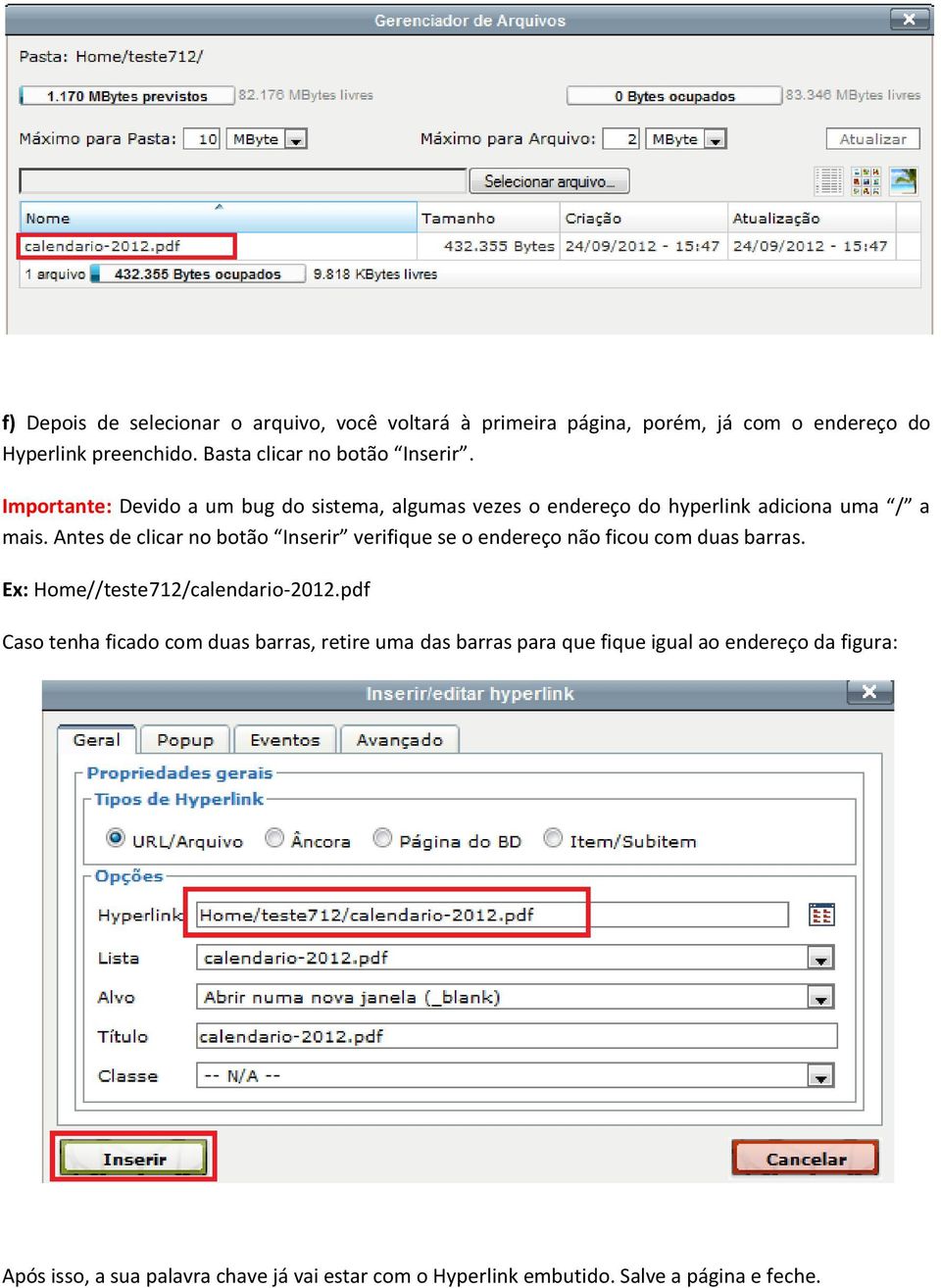 Antes de clicar no botão Inserir verifique se o endereço não ficou com duas barras. Ex: Home//teste712/calendario-2012.
