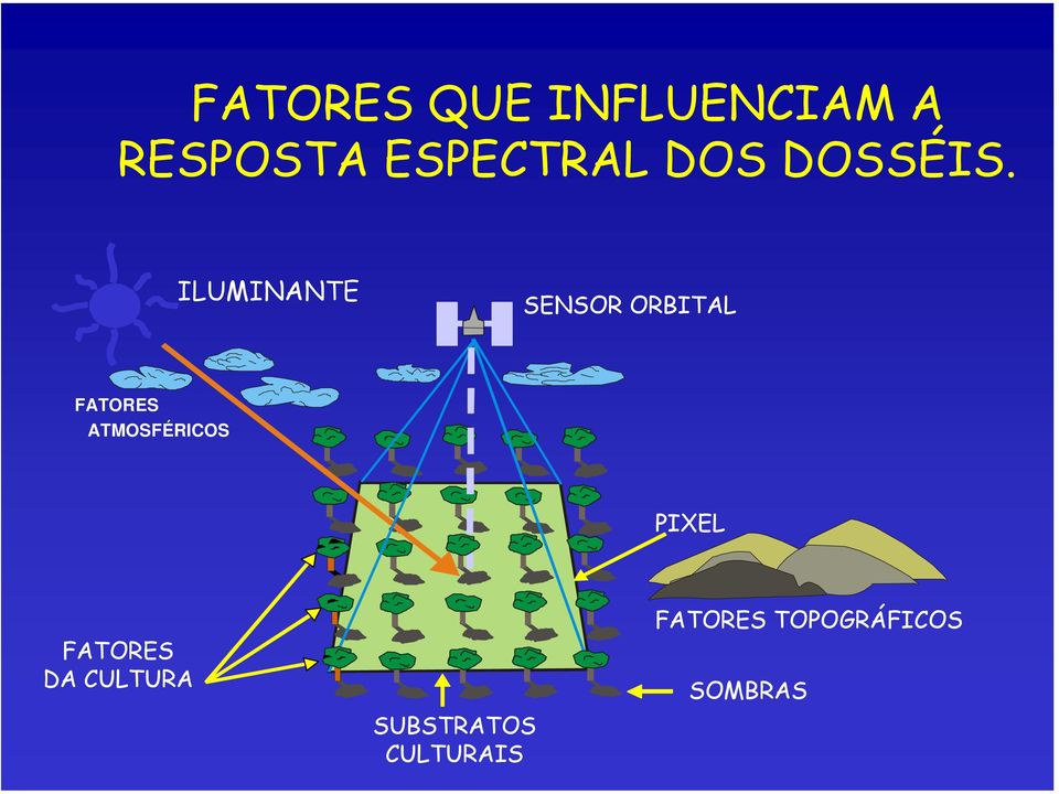 ILUMINANTE SENSOR ORBITAL FATORES