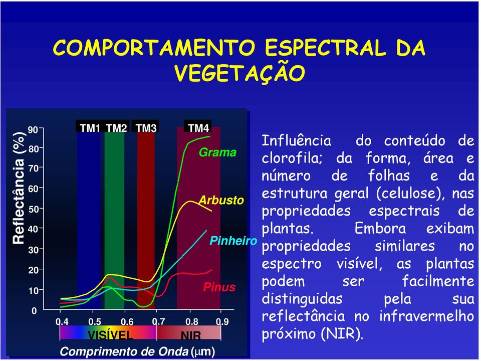 9 VISÍVEL NIR Comprimento de Onda (µm) Influência do conteúdo de clorofila; da forma, área e número de folhas e da