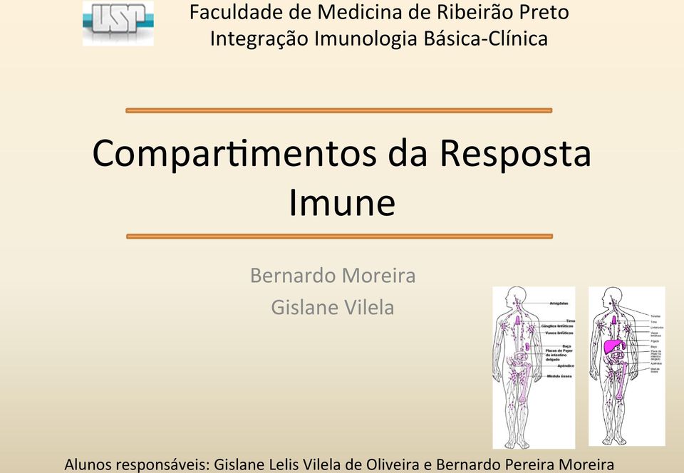 Clínica Compar'mentos da Resposta