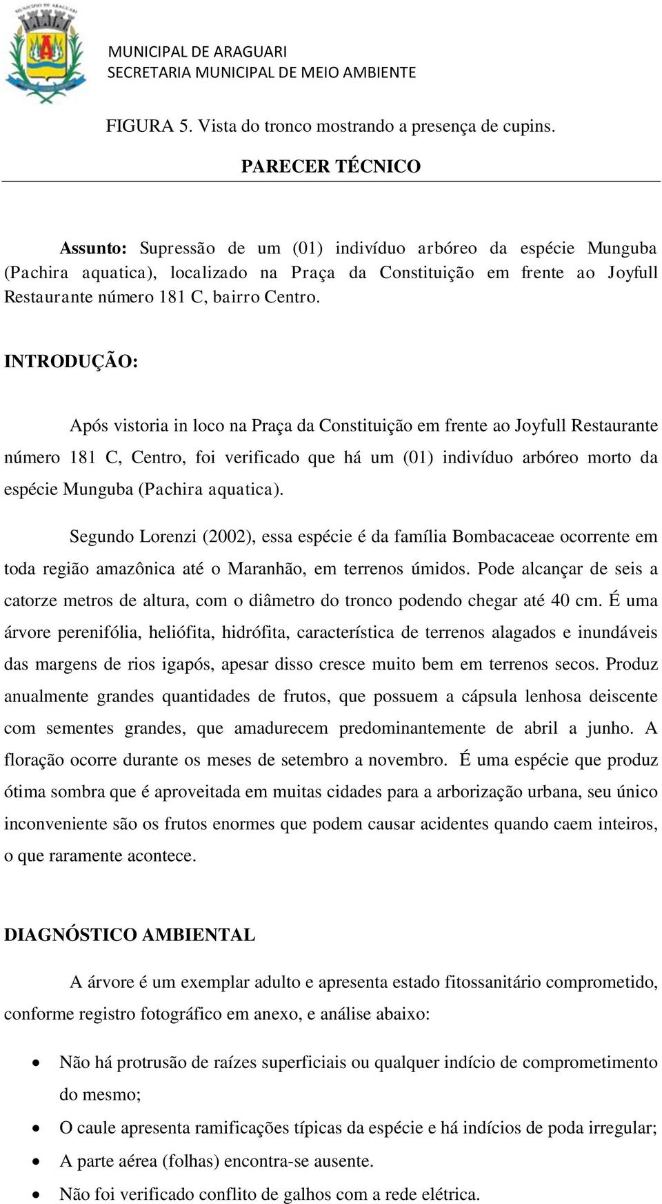 INTRODUÇÃO: Após vistoria in loco na Praça da Constituição em frente ao Joyfull Restaurante número 181 C, Centro, foi verificado que há um (01) indivíduo arbóreo morto da espécie Munguba (Pachira