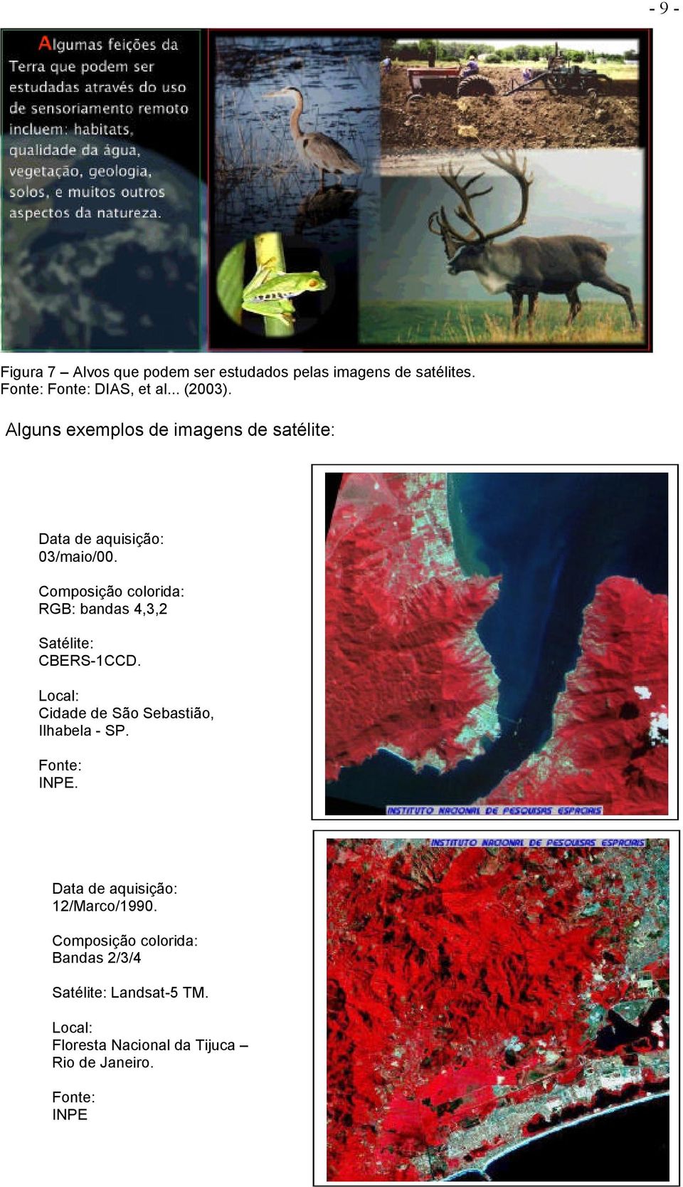 Composição colorida: RGB: bandas 4,3,2 Satélite: CBERS-1CCD. Local: Cidade de São Sebastião, Ilhabela - SP.