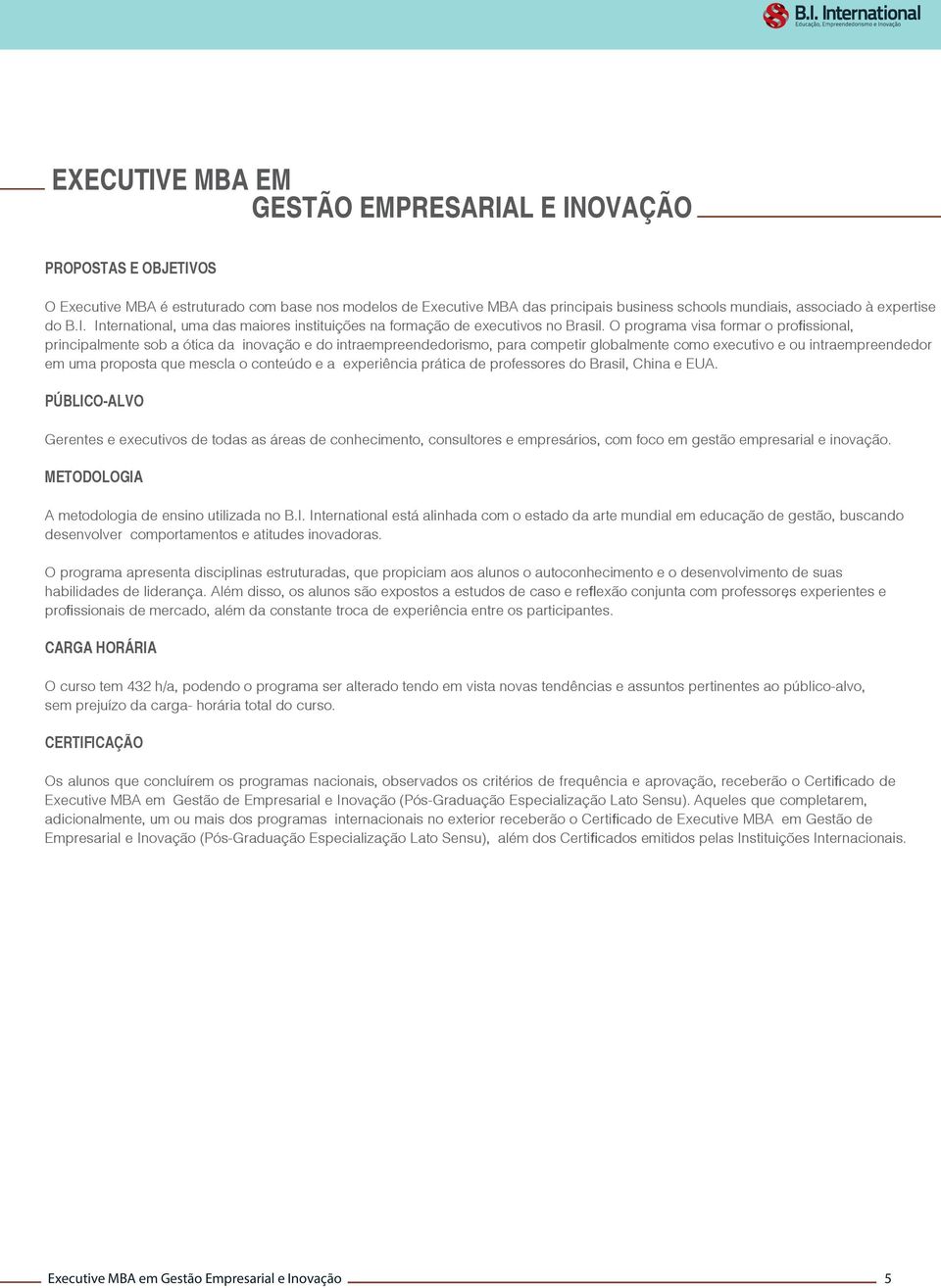 O programa visa formar o profissional, principalmente sob a ótica da inovação e do intraempreendedorismo, para competir globalmente como executivo e ou intraempreendedor em uma proposta que mescla o