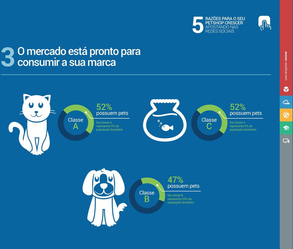 C 52%  B 47% possuem pets Na classe B representa 25% da população