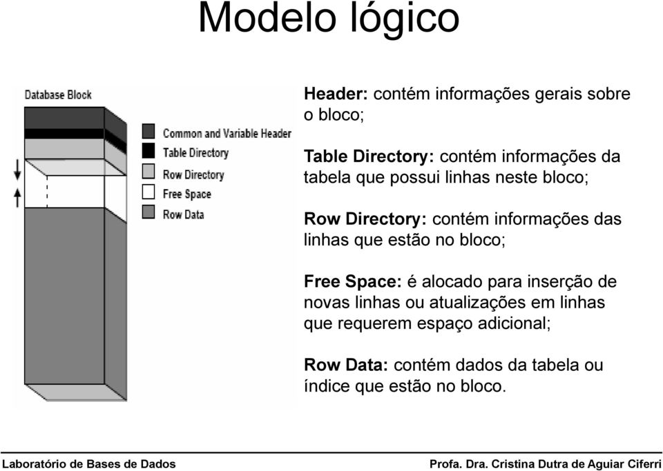 linhas que estão no bloco; Free Space: é alocado para inserção de novas linhas ou