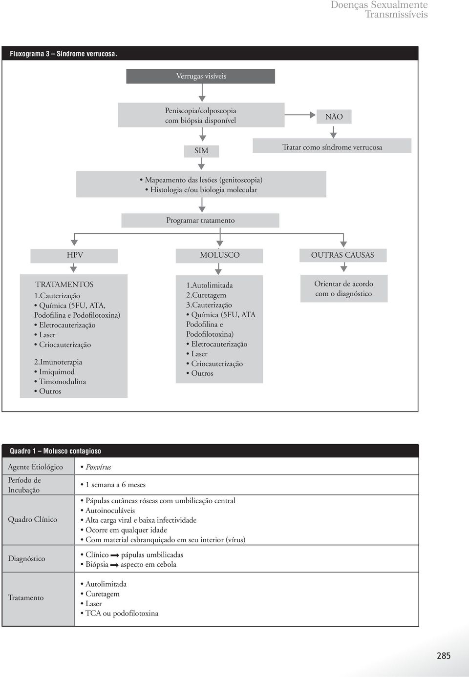 tratamento HPV MOLUSCO OUTRAS CAUSAS TRATAMENTOS 1.Cauterização Podofilina e Podofilotoxina) 2.Imunoterapia 1.