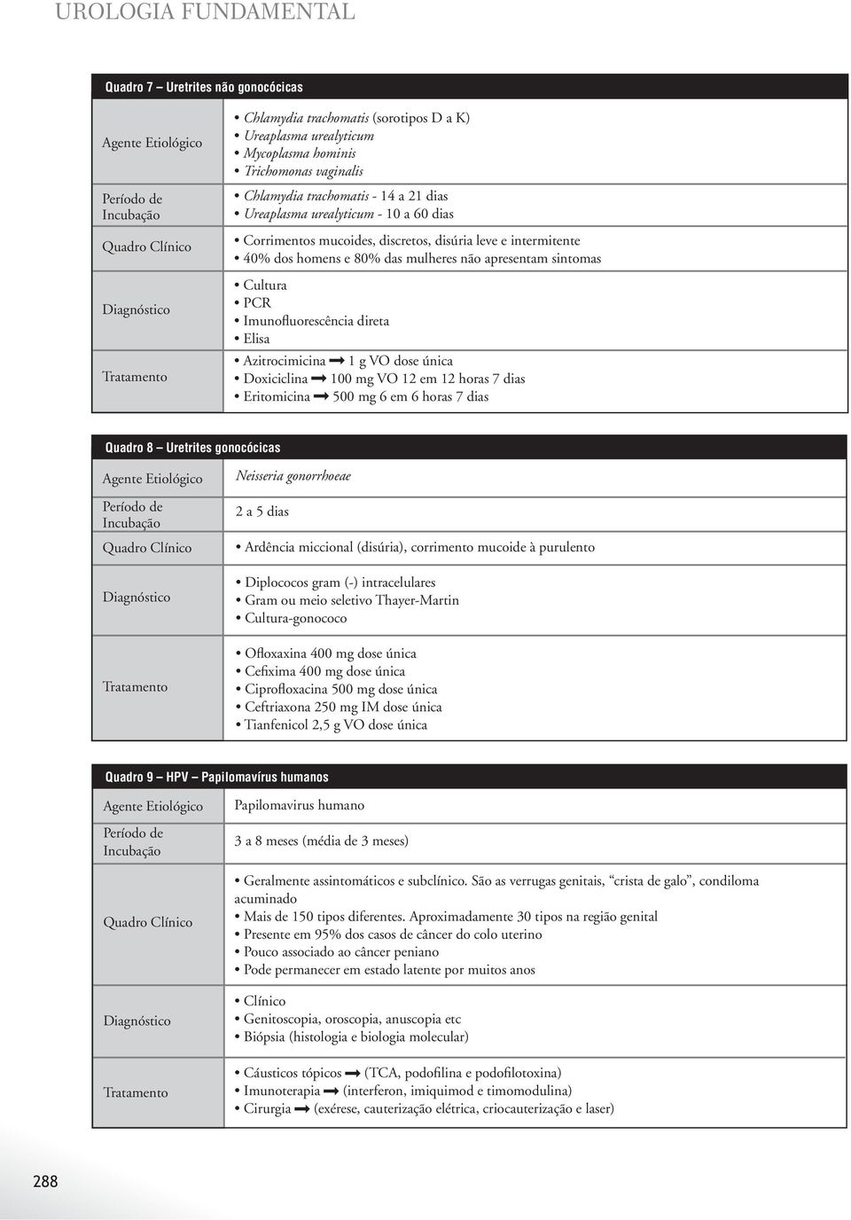 horas 7 dias Quadro 8 Uretrites gonocócicas Neisseria gonorrhoeae 2 a 5 dias Quadro 9 HPV Papilomavírus humanos Papilomavirus humano 3 a 8 meses (média