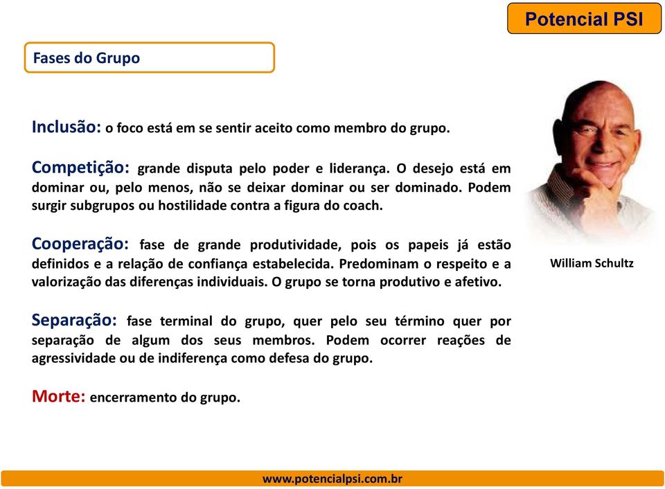 Cooperação: fase de grande produtividade, pois os papeis já estão definidos e a relação de confiança estabelecida.