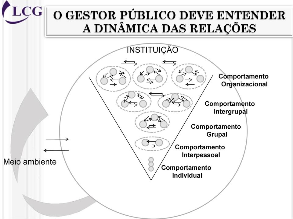 Comportamento Intergrupal Comportamento Grupal Meio