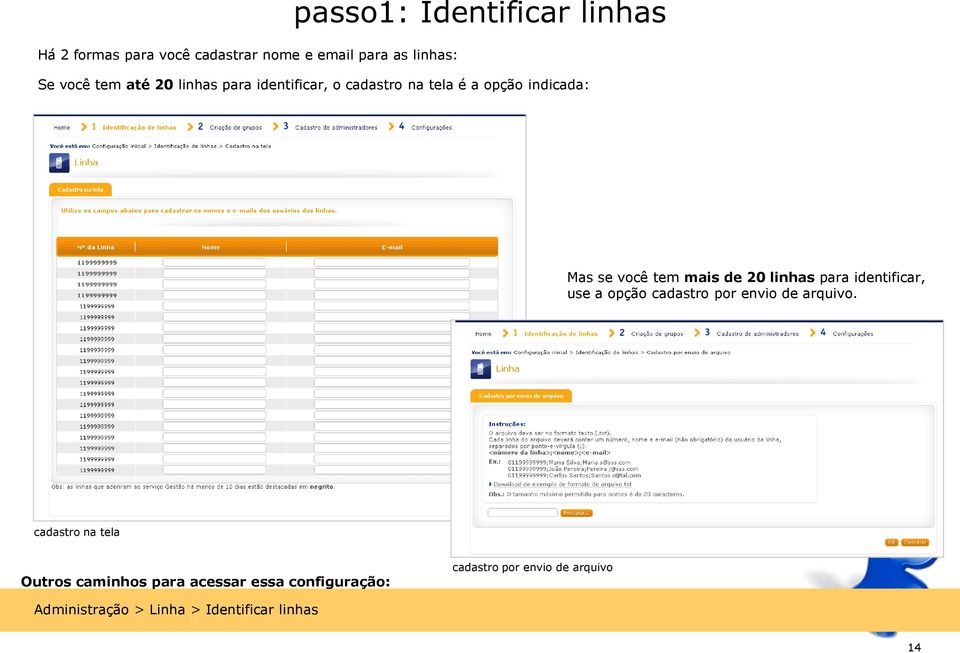 linhas para identificar, use a opção cadastro por envio de arquivo.