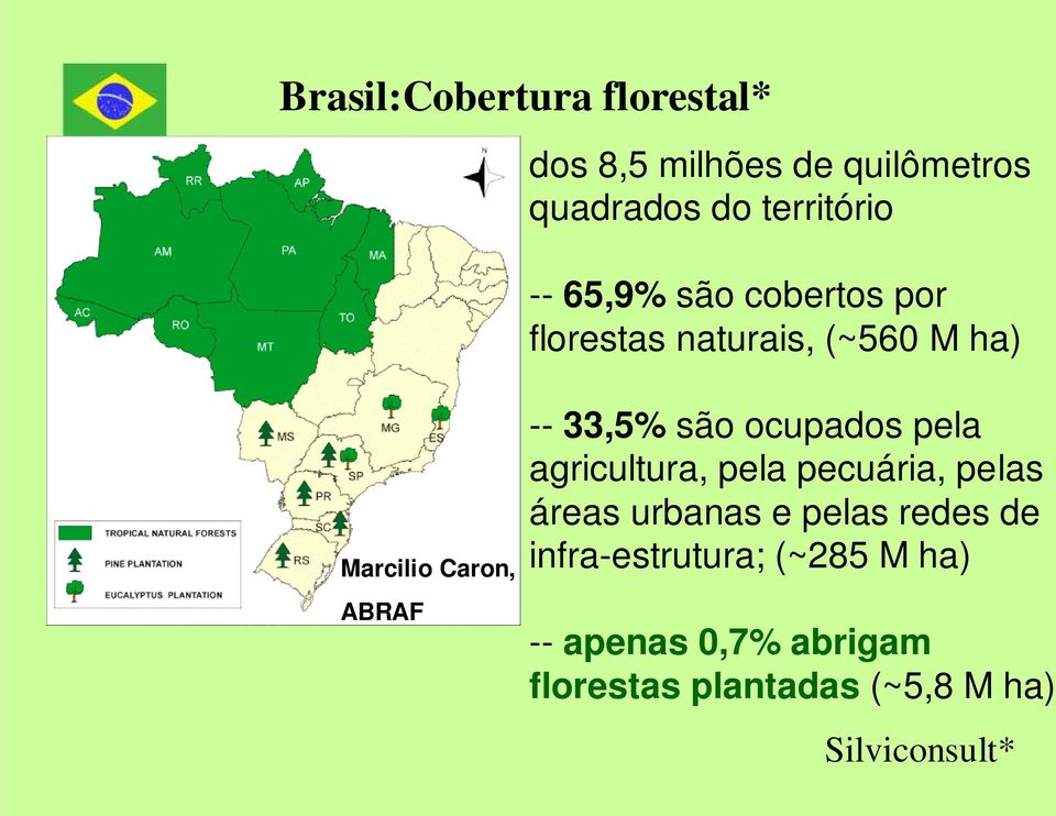 são ocupados pela agricultura, pela pecuária, pelas áreas urbanas e pelas redes de