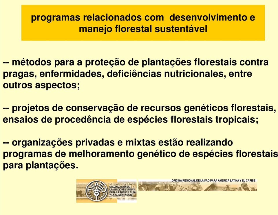 projetos de conservação de recursos genéticos florestais, ensaios de procedência de espécies florestais