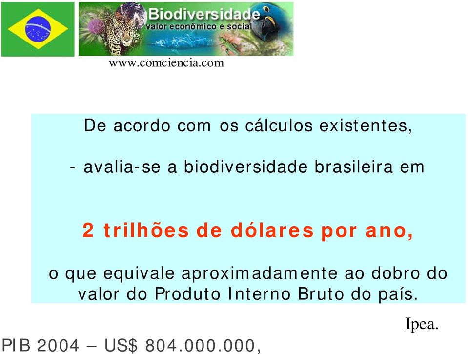 biodiversidade brasileira em 2 trilhões de dólares por ano, o