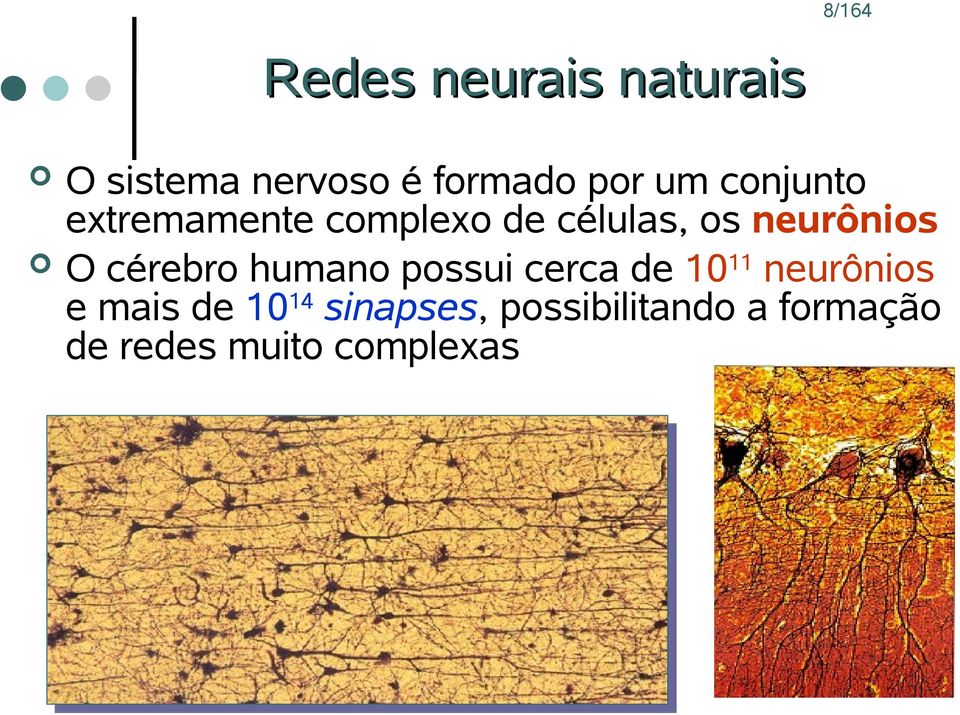 cérebro humano possui cerca de 10 11 neurônios e mais de 10