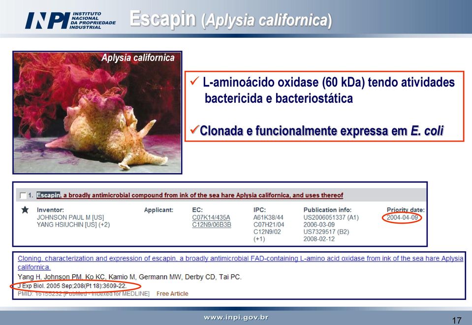 tendo atividades bactericida e