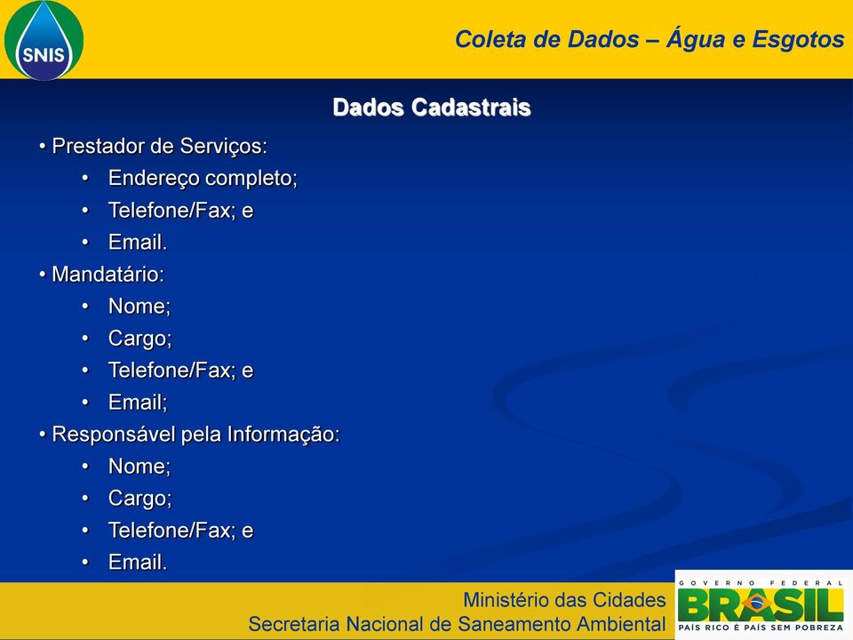 Mandatário: Nome; Cargo; Telefone/Fax; e Email;